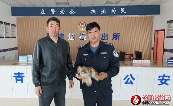 警民攜手救助國家一級重點保護動物獵隼302.png