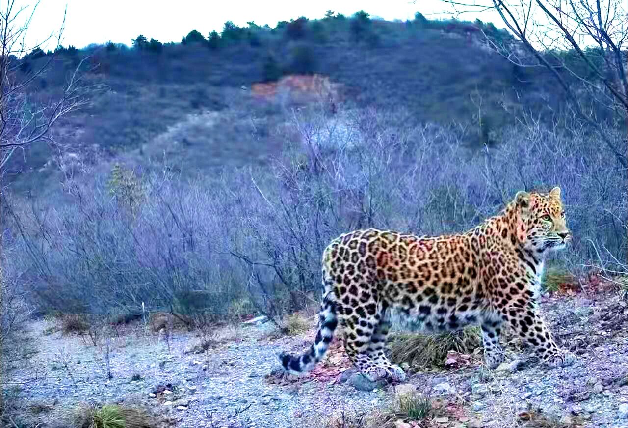 A׬F(xin)ϲۿh״ĵAӰ