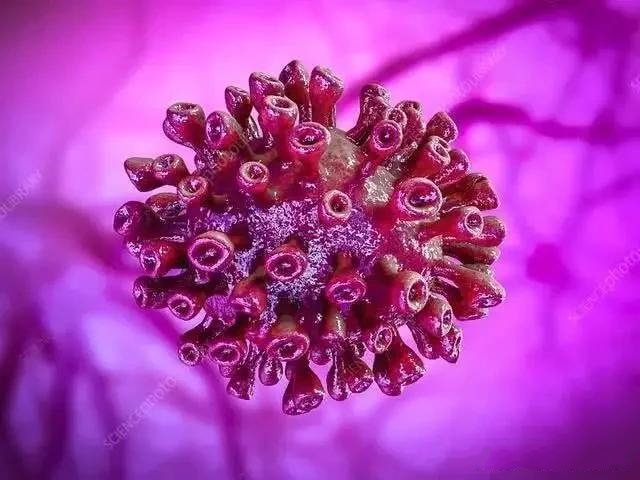 ػů¹ڲΕr(sh)ʧҵf